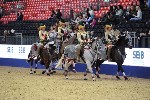Quadrille - 00940